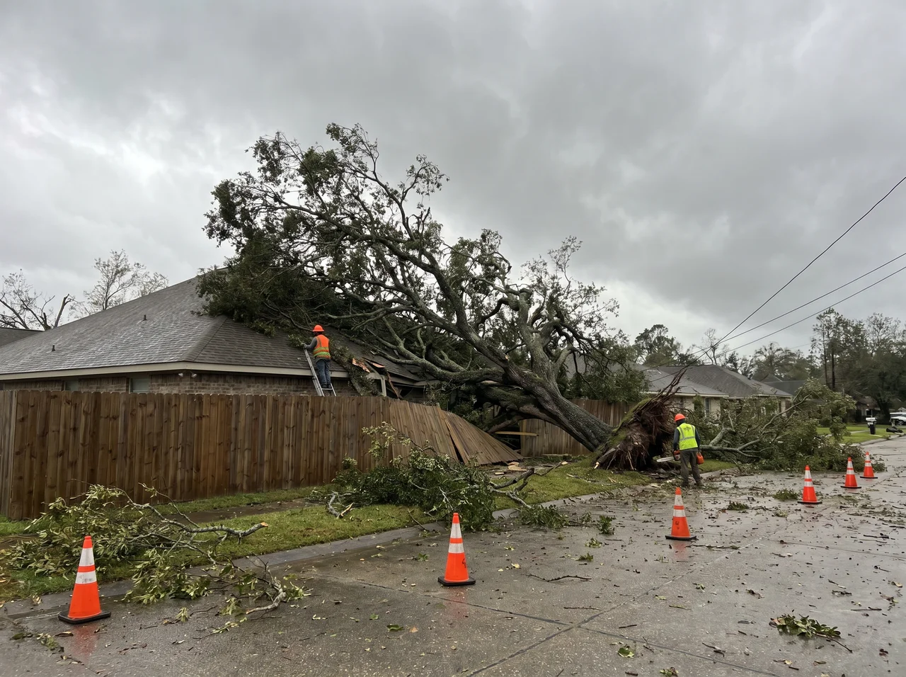 Hurricane Tree Preparation in West Palm Beach, Florida